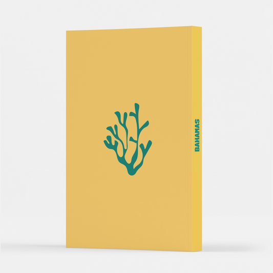 BAHAMAS BONITO
